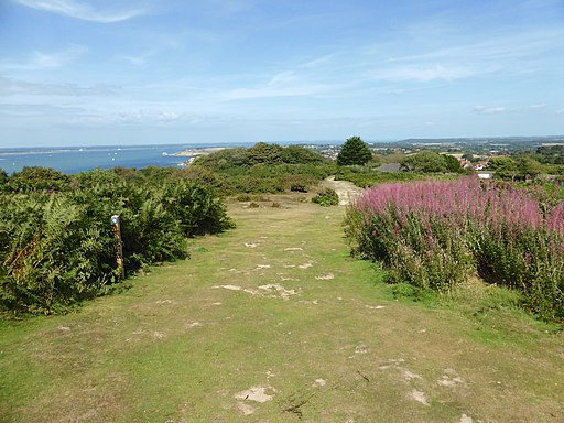 Headon Warren (10004698234)