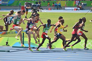 Djibouti At The 2016 Summer Olympics