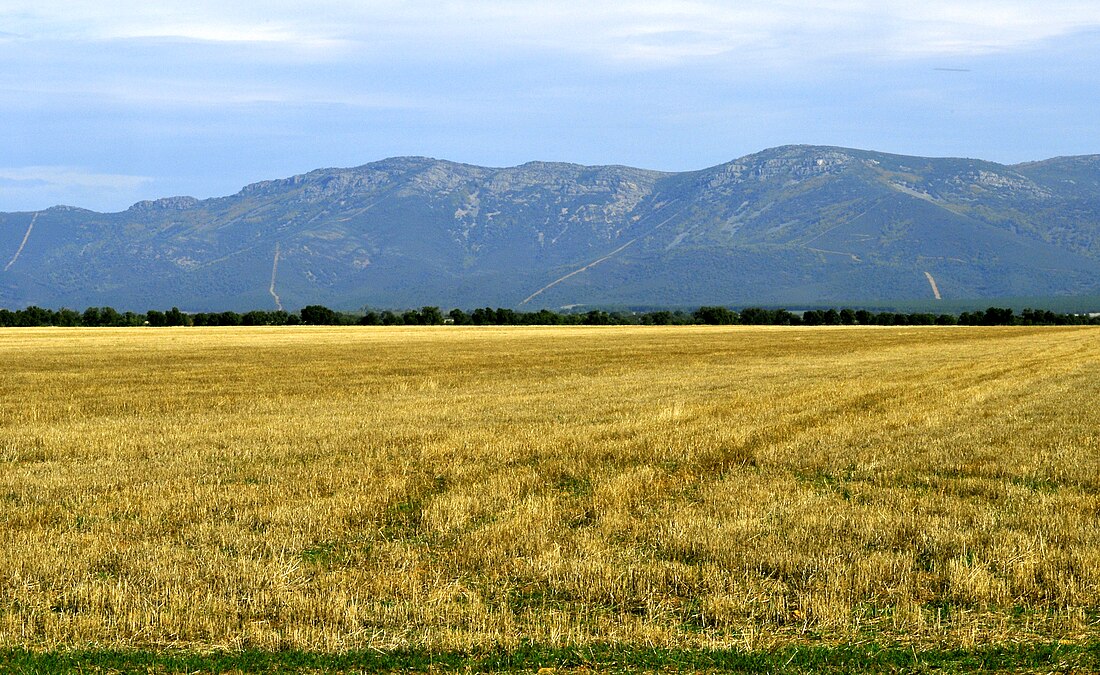 Montes de Toledo