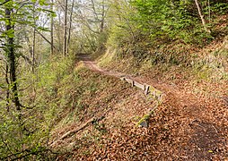 Hiking path in Tolmin (8).jpg