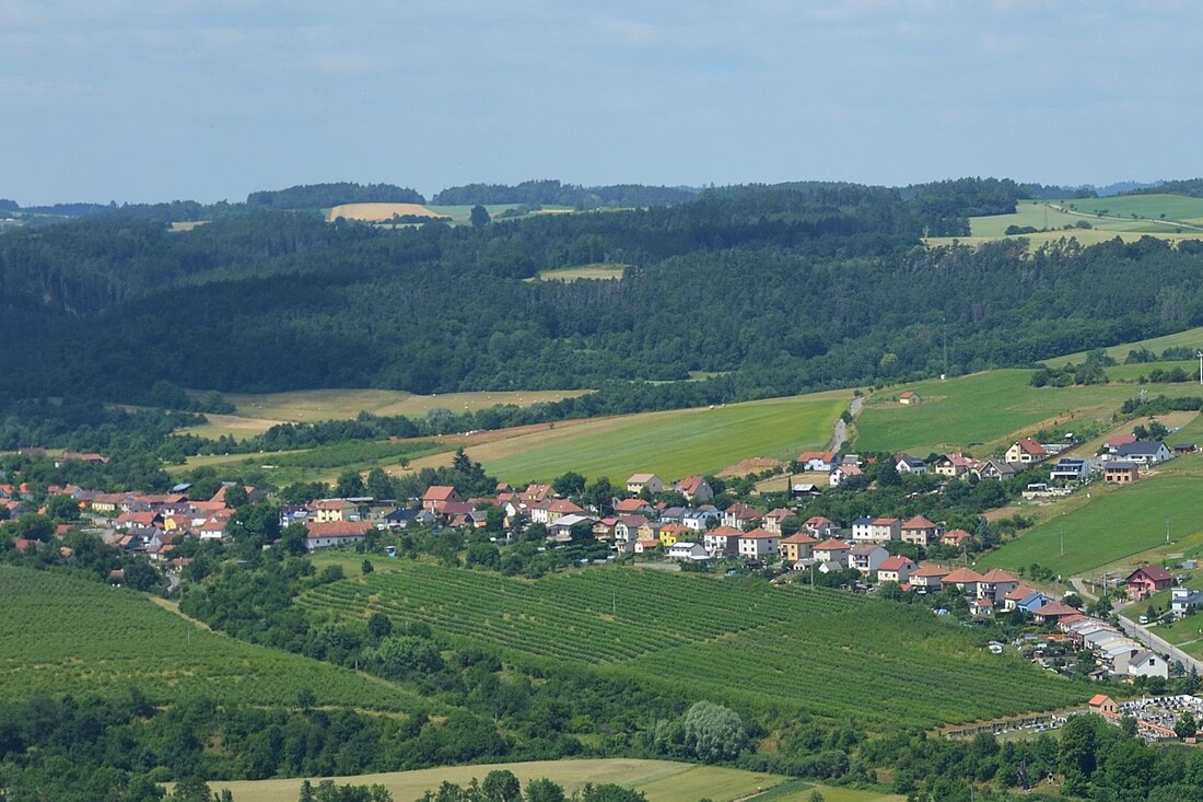 File:Horní Loučky - pohled od jihu, obr01.jpg