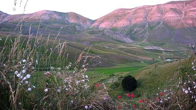 die in die Bergkuppen übergehende Hügellandschaft am Talrand im Juli