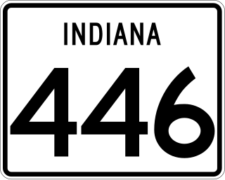 <span class="mw-page-title-main">Indiana State Road 446</span> State highway in Indiana, United States