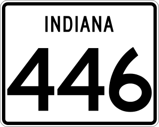 <span class="mw-page-title-main">Indiana State Road 446</span> State highway in Indiana, United States