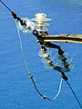* Nomination Insulators on an electric transmission line near Manarola, Cinque Terre --Tagooty 01:11, 2 October 2023 (UTC) * Promotion  Support Good quality. --Basile Morin 04:14, 2 October 2023 (UTC)