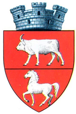 Săveni: insigne