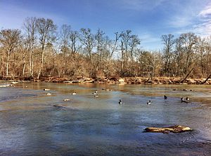 Chattahoochee River National Recreation Area