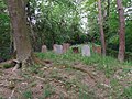 Jewish cemetery (Hoch-Weisel) 03.JPG