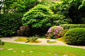 A small garden in the Japanese Tea Garden of Golden Gate Park, in San Francisco