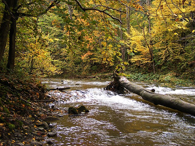 Jaśliski Landscape Park and Jasiołka River