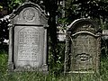 Macewy na cmentarzu żydowskim Nowym w Sokołowie Małopolskim