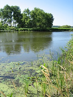 O rio Kalamazoo em Saugatuck