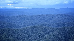 Kawasan Hutan TN Betung Kerihun.jpg