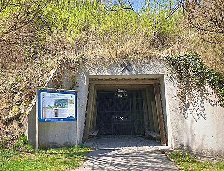 Kohleflöz am Bühlach (Geotop Peitinger Pechkohle) 3