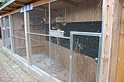 Čeština: Mini ZOO u výletní restaurace Obří sud u Lázní Libverdy.