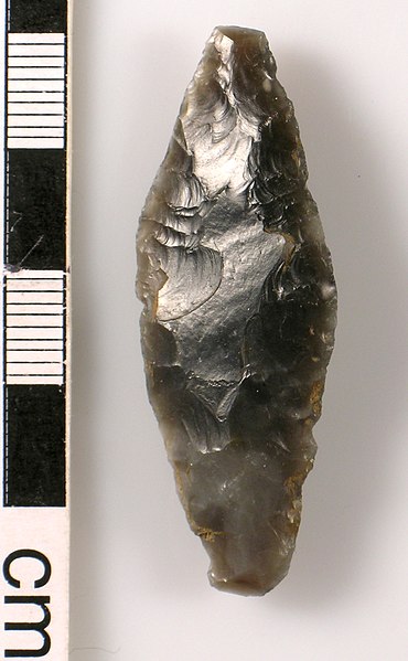 File:Leaf shaped arrowhead (FindID 99605).jpg