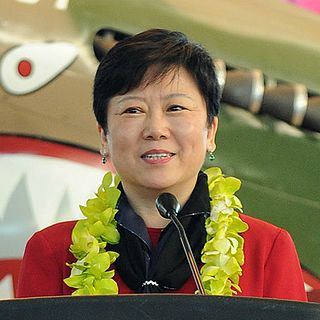 Li Xiaolin (politician) Chinese politician
