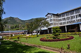 Tea factory in Mulwani