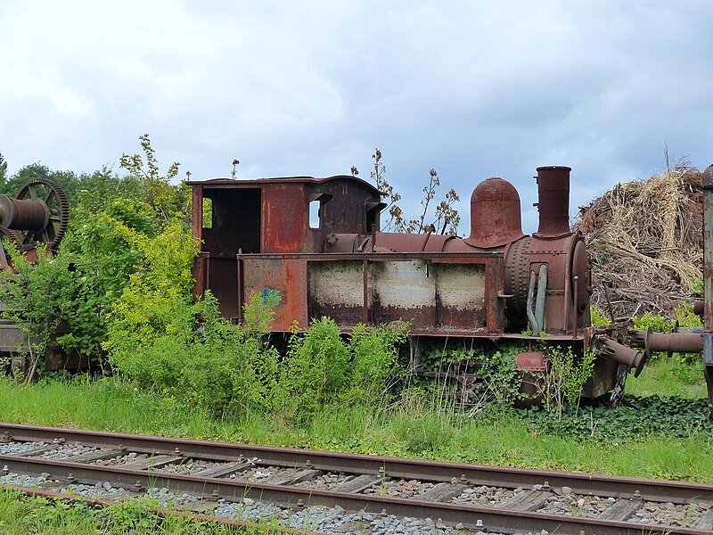 File:Locomotive 'Taty' (18921387086).jpg
