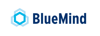 Fortune Salaire Mensuel de Bluemind Combien gagne t il d argent ? 10 000,00 euros mensuels