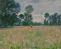The Flowered Meadow, 1885, MB-Mon-20
