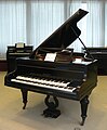 MIM Double Manual Piano Moór.jpg