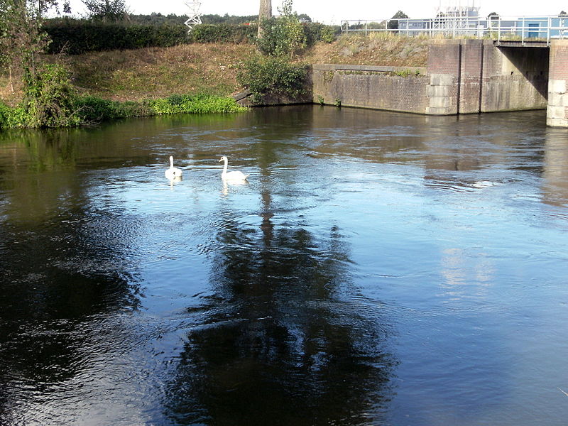 File:Maastricht 2012 Voedingskanaal 4.JPG