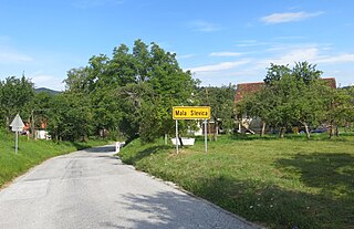 <span class="mw-page-title-main">Mala Slevica</span> Place in Lower Carniola, Slovenia