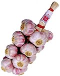 Thumbnail for Lautrec Pink Garlic