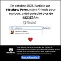 "Mathew_Perry_visuel_promotionnel-_Campagne_de_dons_Wikimédia_France_2023.jpg" by User:Céline Husetowski WMFr