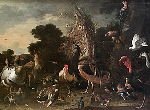 Geflügelhof [Poultry Farm] (ca. 1675-99), oil on canvas, 162 × 220,5 cm., Kunsthistorisches Museum