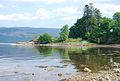 Minard Point - geograph.org.uk - 461006.jpg