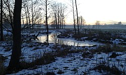 Pemandangan dari kolam di Miękisze selama musim dingin