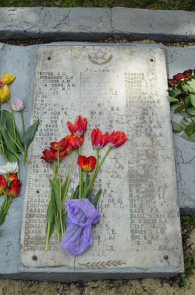 File:Monument fellow-villagers dying for their country (14), Shestakove, Vovchansk Raion.jpg