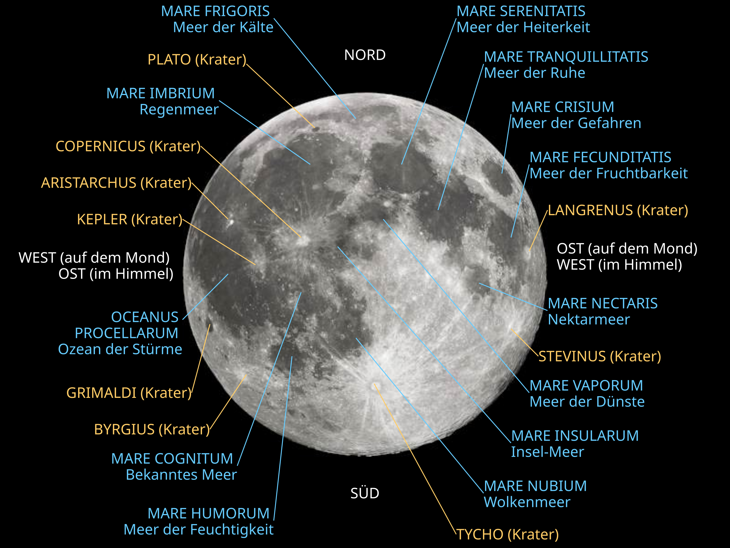 File:Phases of the Moon.png - Wikimedia Commons