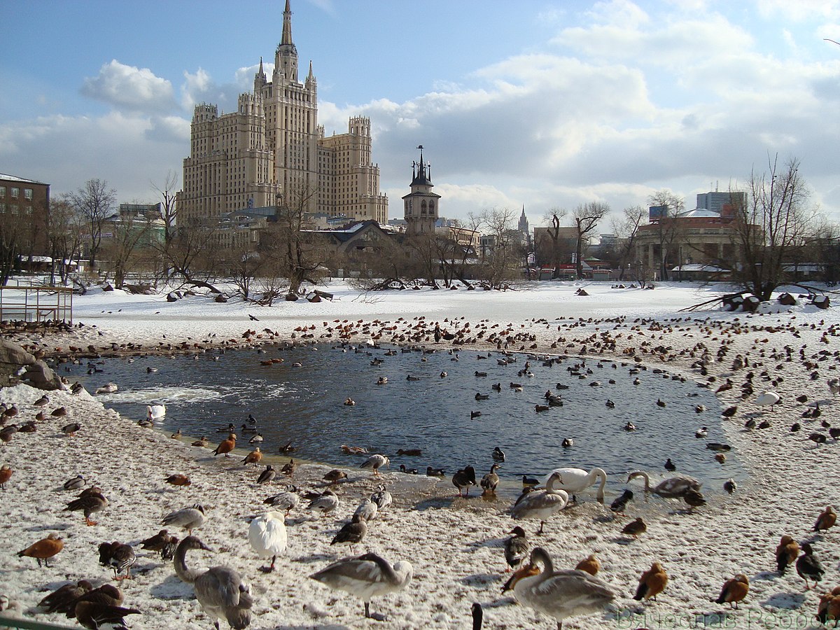 московский зоопарк зимой