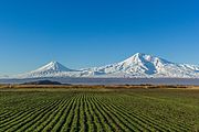 Mount Ararat from Artashat (28mm).jpg