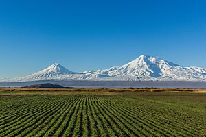 Mount Ararat from Artashat (28mm).jpg
