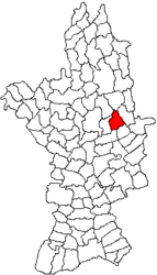 Location in Olt County