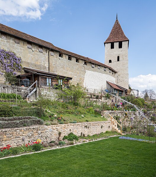 File:Murten - Gärten an der Aussenseite der Stadtmauer.jpg