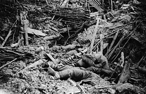 NLS Haig - Smashed up German trench on Messines Ridge with dead.jpg