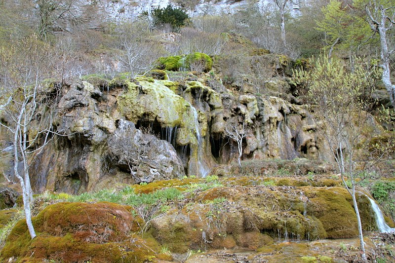 File:Nacimiento del río Covalagua (29 de abril de 2018, Espacio Natural de Covalagua) 03.jpg