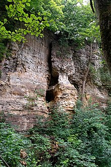 Naturschutzgebiet Saupark - Kleiner Deister - Felsformation der oberen Jura (Korallenoolith) (9).jpg