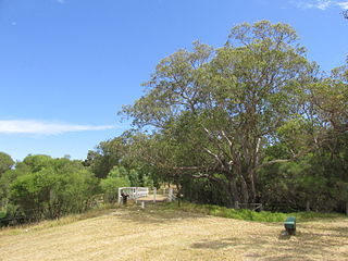 <span class="mw-page-title-main">Neergabby, Western Australia</span> Town in Western Australia