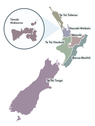 <span class="mw-page-title-main">Māori electorates</span> Electoral districts for Māori voters in New Zealand