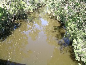 Nive River (Queensland) httpsuploadwikimediaorgwikipediacommonsthu