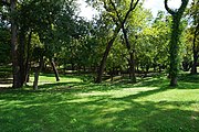 Oak Cliff Founders Park