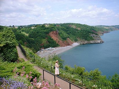 How to get to Babbacombe with public transport- About the place