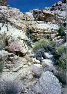 Old Woman Mountains Wilderness Protected wilderness area in California, United States