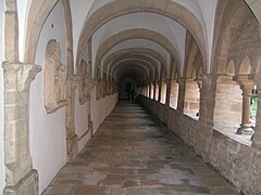 Claustro